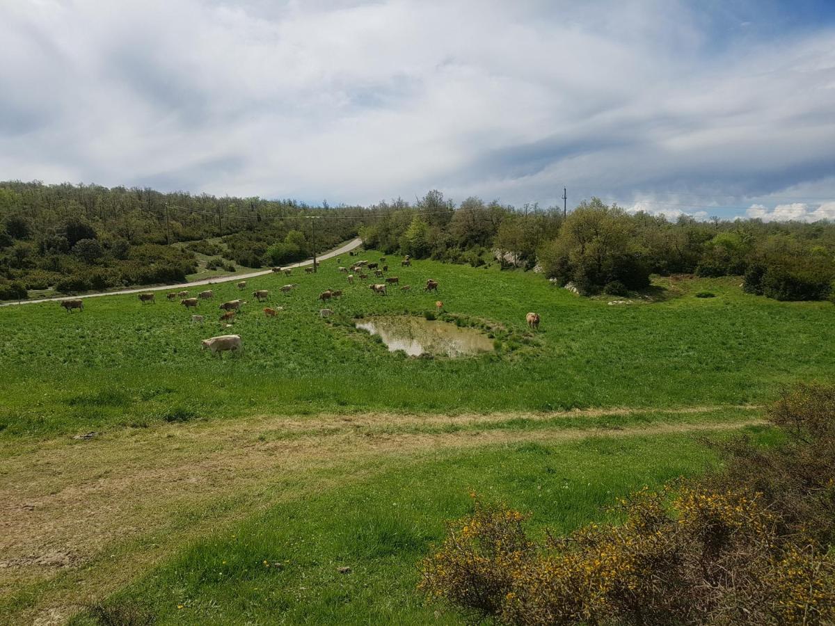 Santuari De La Salut De Sant Felíu de Pallarols Exterior foto